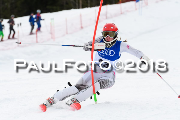 Bayerische Schülermeisterschaft Slalom 28.01.2018