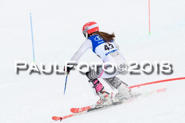 Bayerische Schülermeisterschaft Slalom 28.01.2018