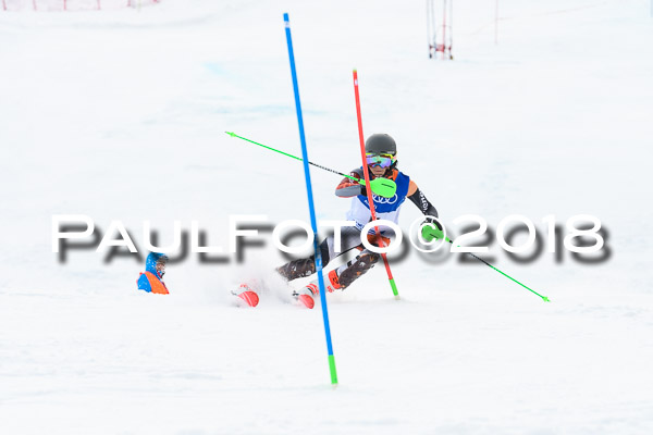 Bayerische Schülermeisterschaft Slalom 28.01.2018