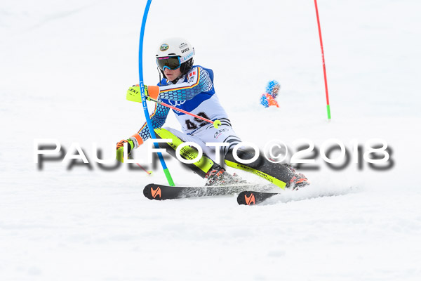 Bayerische Schülermeisterschaft Slalom 28.01.2018