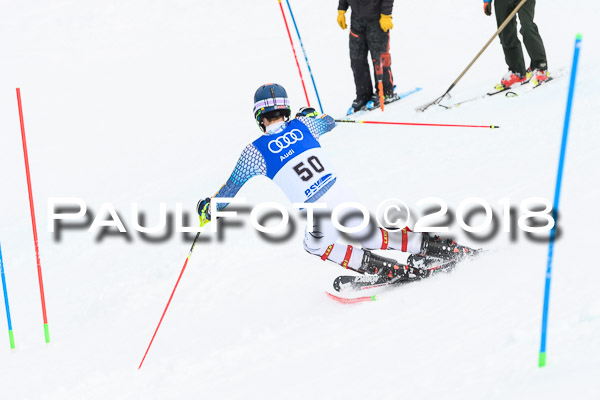 Bayerische Schülermeisterschaft Slalom 28.01.2018