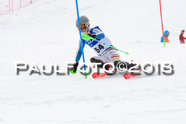 Bayerische Schülermeisterschaft Slalom 28.01.2018
