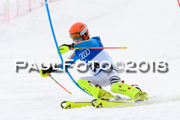 Bayerische Schülermeisterschaft Slalom 28.01.2018