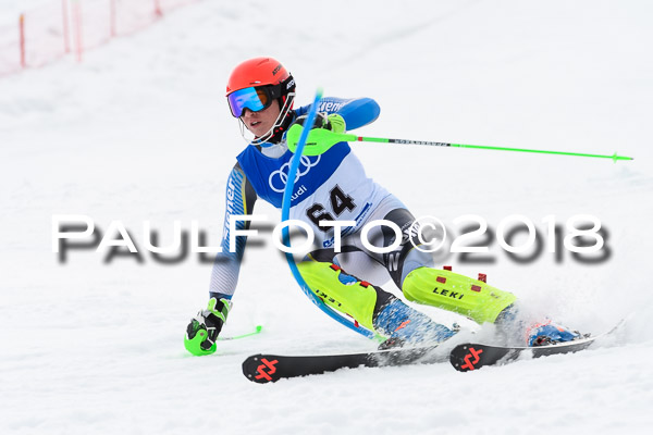 Bayerische Schülermeisterschaft Slalom 28.01.2018