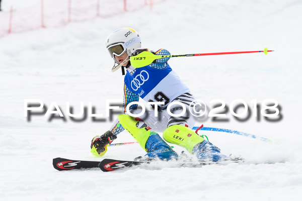 Bayerische Schülermeisterschaft Slalom 28.01.2018
