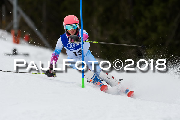 Bayerische Schülermeisterschaft Slalom 28.01.2018