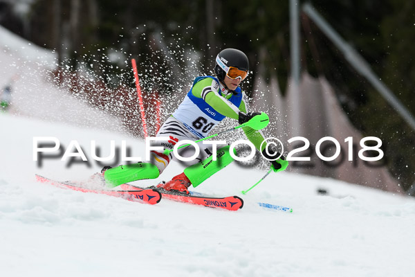 Bayerische Schülermeisterschaft Slalom 28.01.2018