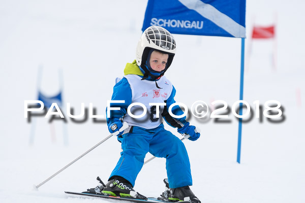 Schongauer Zwergerlrennen 28.01.2018