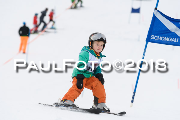 Schongauer Zwergerlrennen 28.01.2018