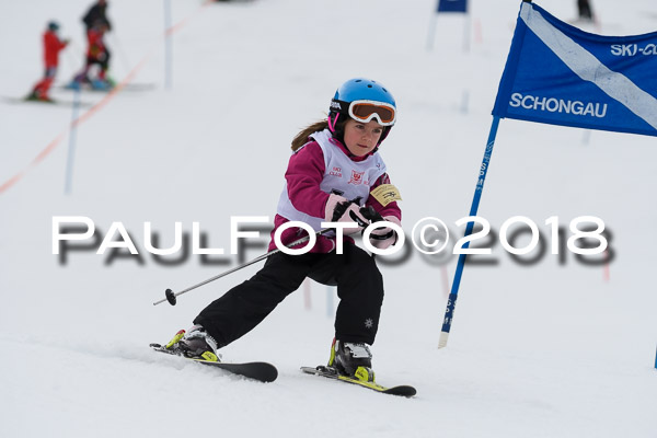 Schongauer Zwergerlrennen 28.01.2018