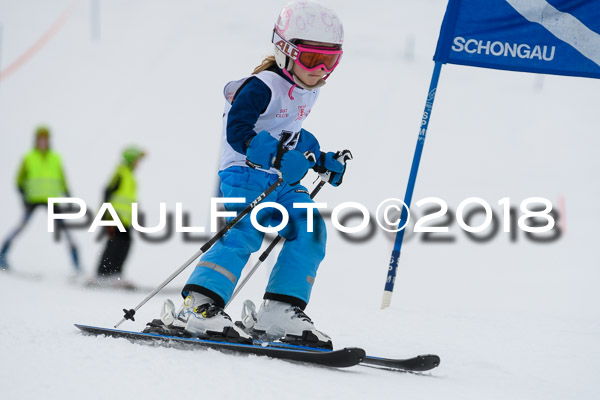 Schongauer Zwergerlrennen 28.01.2018