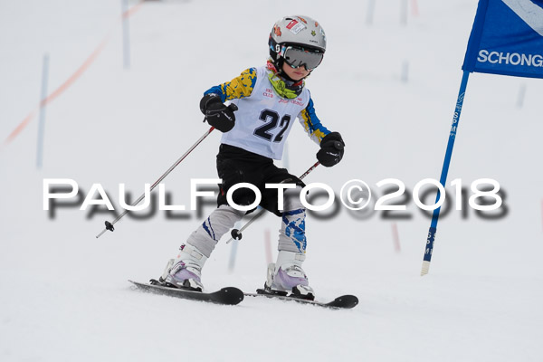 Schongauer Zwergerlrennen 28.01.2018