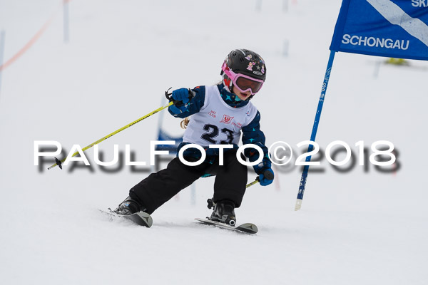 Schongauer Zwergerlrennen 28.01.2018