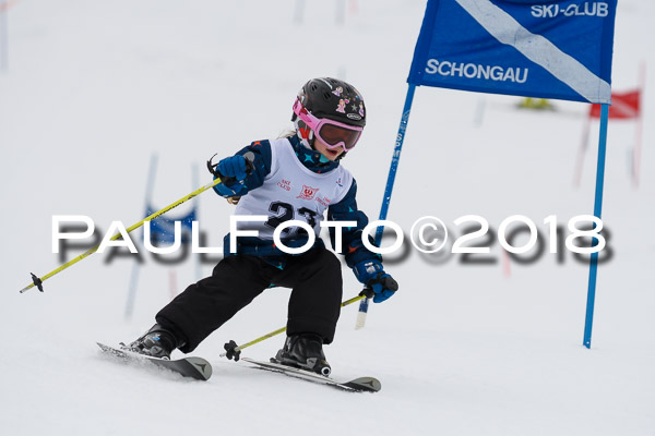 Schongauer Zwergerlrennen 28.01.2018