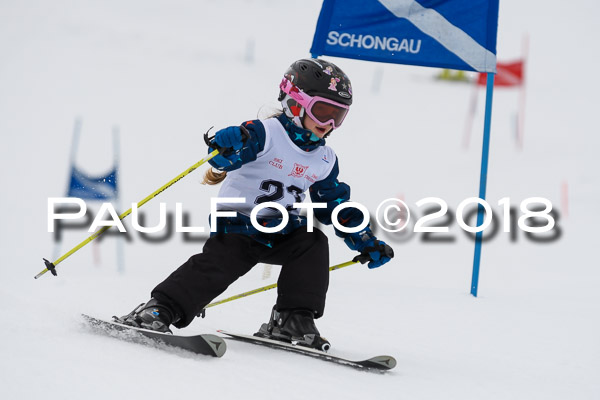 Schongauer Zwergerlrennen 28.01.2018