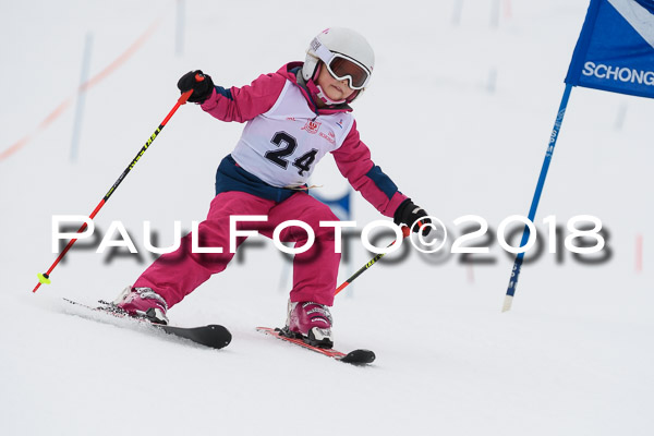 Schongauer Zwergerlrennen 28.01.2018