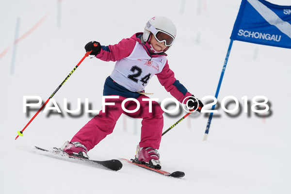 Schongauer Zwergerlrennen 28.01.2018