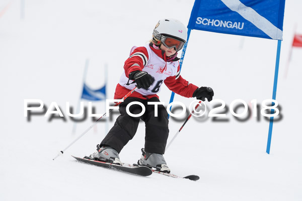 Schongauer Zwergerlrennen 28.01.2018