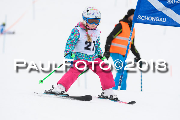 Schongauer Zwergerlrennen 28.01.2018
