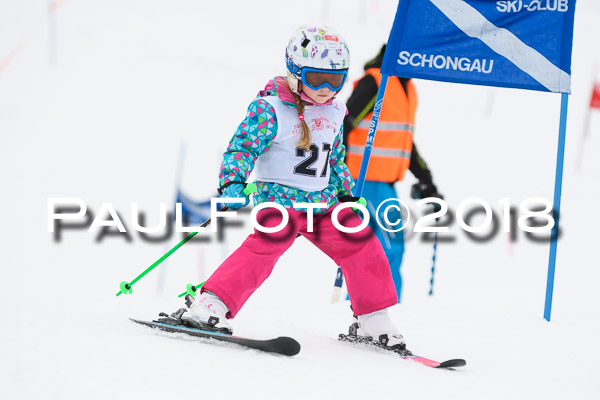 Schongauer Zwergerlrennen 28.01.2018
