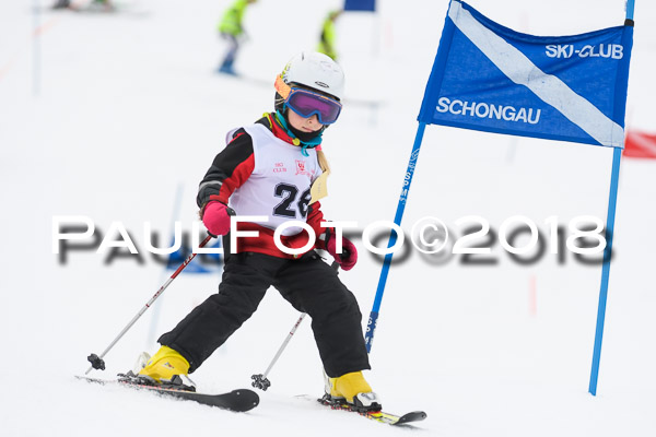 Schongauer Zwergerlrennen 28.01.2018