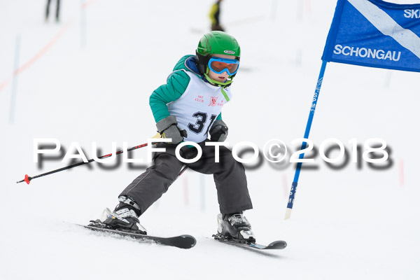 Schongauer Zwergerlrennen 28.01.2018