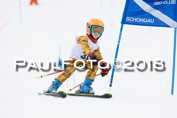 Schongauer Zwergerlrennen 28.01.2018