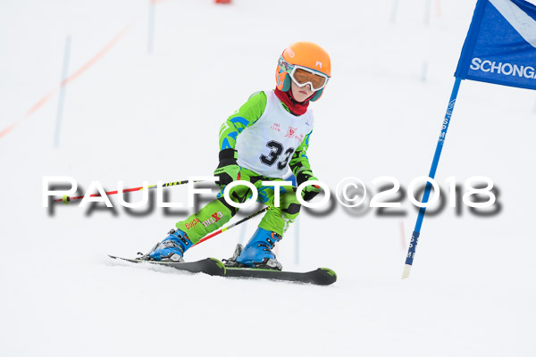 Schongauer Zwergerlrennen 28.01.2018