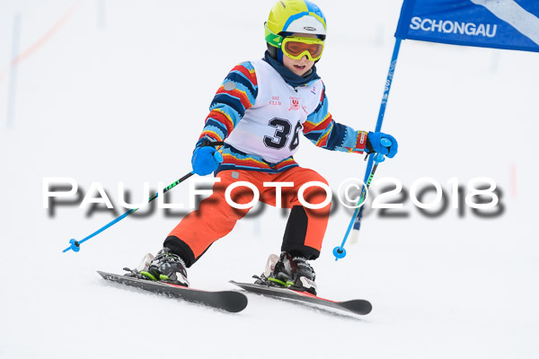 Schongauer Zwergerlrennen 28.01.2018
