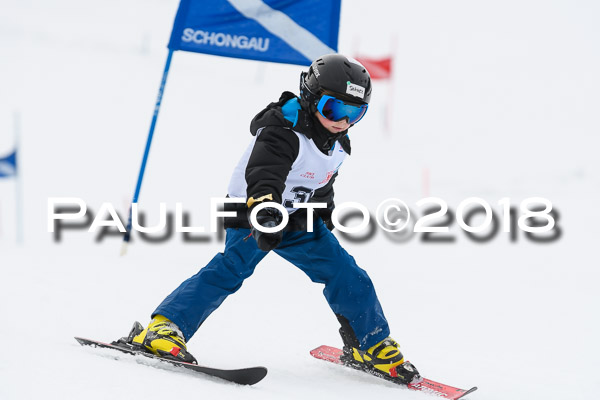 Schongauer Zwergerlrennen 28.01.2018
