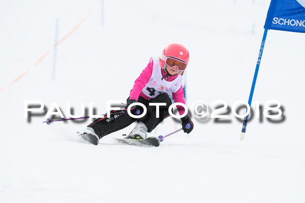Schongauer Zwergerlrennen 28.01.2018