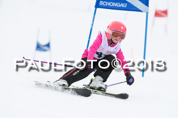 Schongauer Zwergerlrennen 28.01.2018