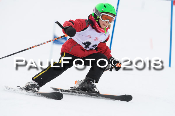 Schongauer Zwergerlrennen 28.01.2018