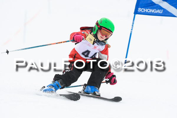 Schongauer Zwergerlrennen 28.01.2018