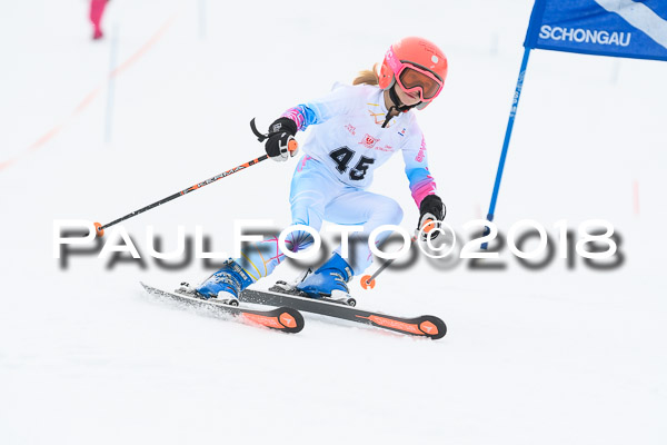 Schongauer Zwergerlrennen 28.01.2018