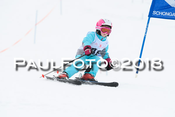 Schongauer Zwergerlrennen 28.01.2018