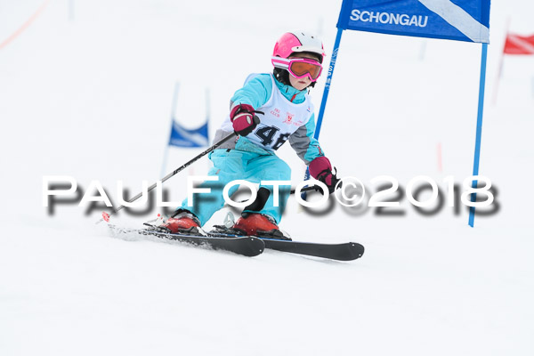 Schongauer Zwergerlrennen 28.01.2018