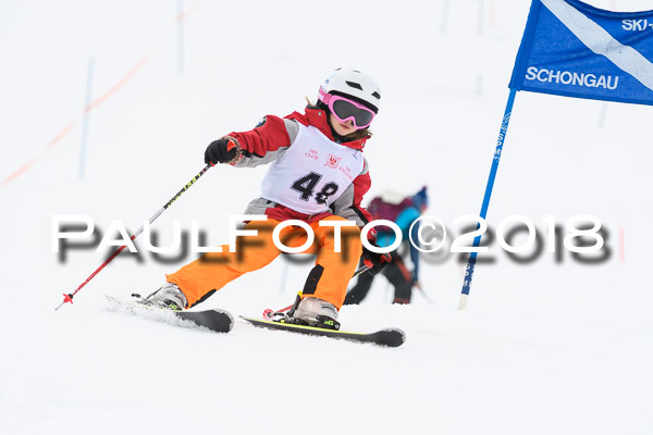 Schongauer Zwergerlrennen 28.01.2018