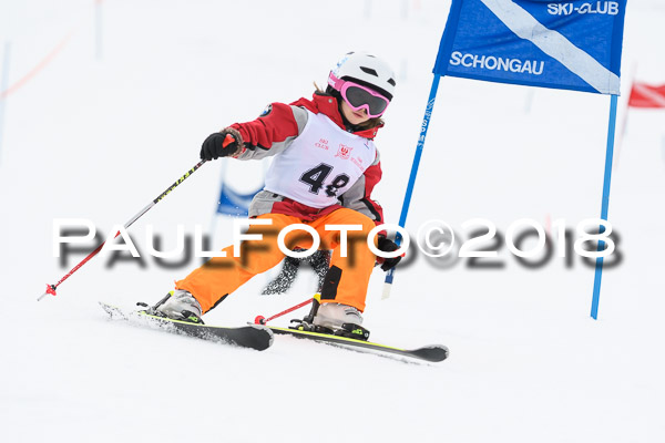 Schongauer Zwergerlrennen 28.01.2018