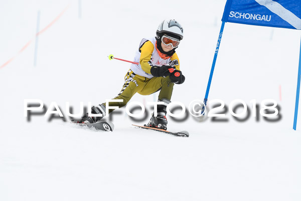 Schongauer Zwergerlrennen 28.01.2018