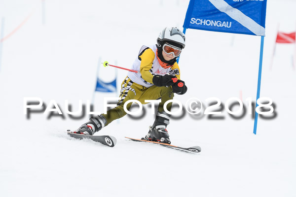 Schongauer Zwergerlrennen 28.01.2018