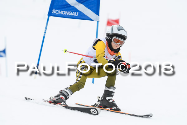 Schongauer Zwergerlrennen 28.01.2018