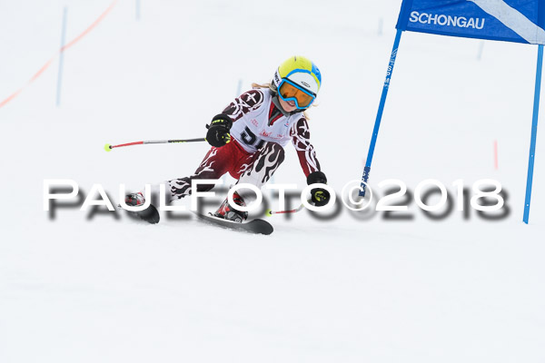 Schongauer Zwergerlrennen 28.01.2018