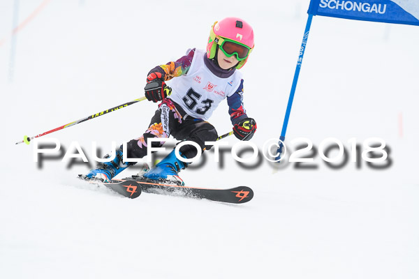 Schongauer Zwergerlrennen 28.01.2018