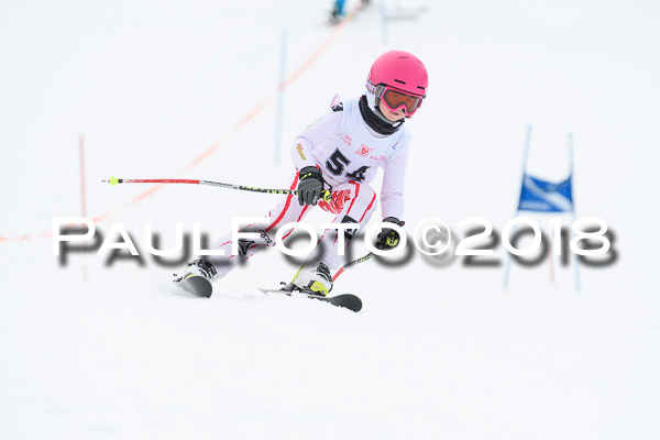 Schongauer Zwergerlrennen 28.01.2018