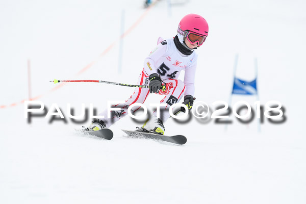 Schongauer Zwergerlrennen 28.01.2018