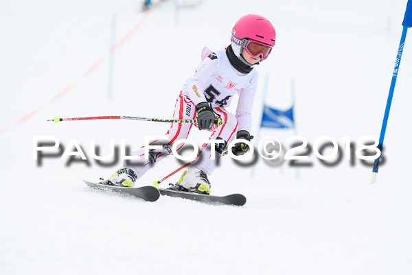 Schongauer Zwergerlrennen 28.01.2018