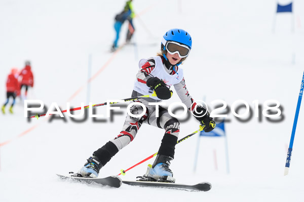 Schongauer Zwergerlrennen 28.01.2018