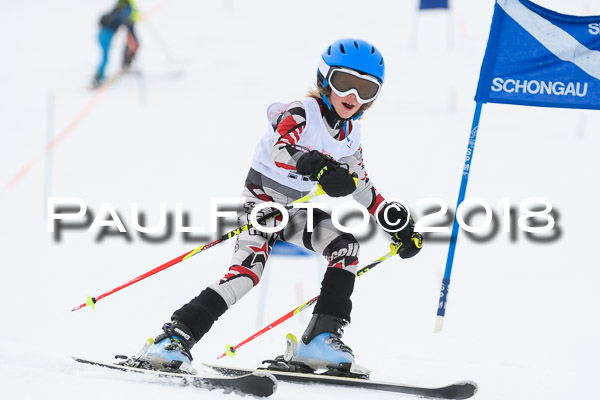 Schongauer Zwergerlrennen 28.01.2018