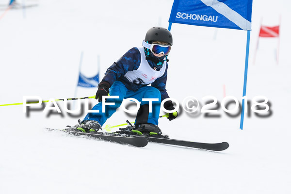 Schongauer Zwergerlrennen 28.01.2018